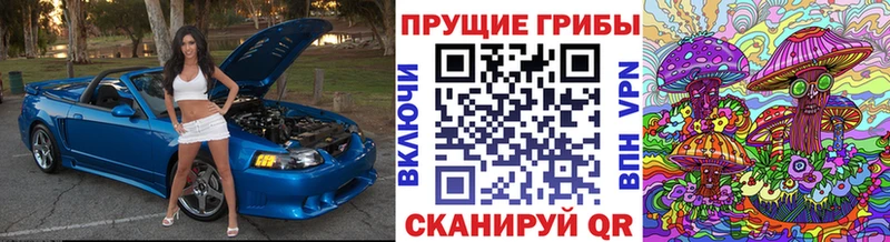 это какой сайт  Калтан  Галлюциногенные грибы Psilocybe  как найти  
